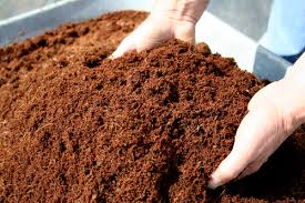 Coir Pith Manure